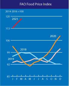 联合国粮农组织：2024年全球食品价格指数降2.1%